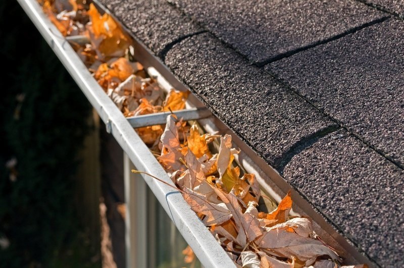 Gutter Cleaning Mistakes You Might Be Making
