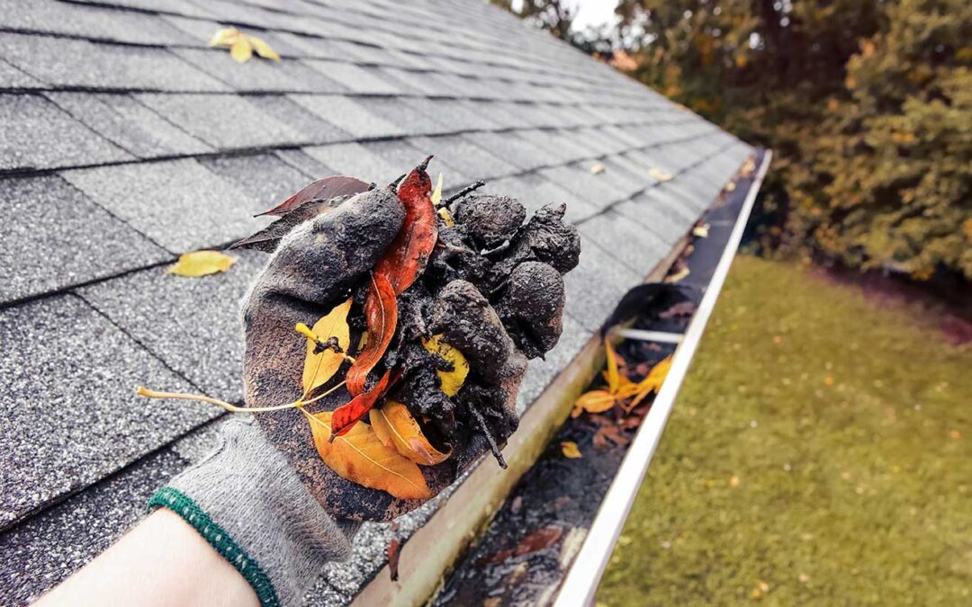 How To Find the Best Commercial Gutter Cleaning Company Near You