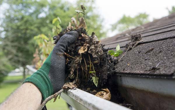 6 Things You Might Find in Your Gutters If You’ve Never Cleaned Them