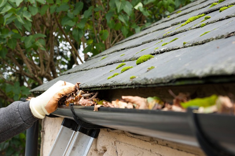 Why Certain Gutters on Your Home May Be More Problematic Than Others