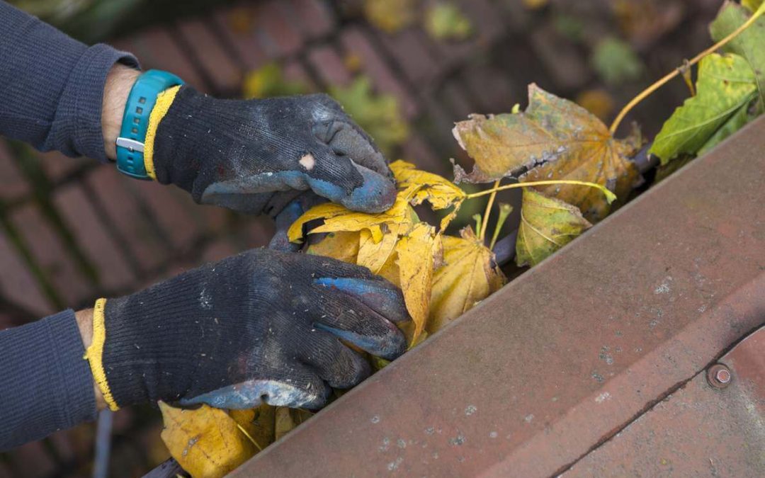 Reasons You Should Invest in Professional Gutter Cleaning Services