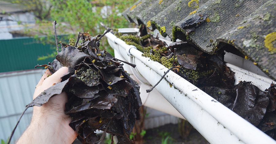 Top Tools and Equipment for Effective Gutter Cleaning